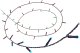 Lampki choinkowe Signify WiZ Fairy Light Color 20m Outdoor 1