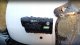 Wideorejestrator MUFU WIDEOREJESTRATOR MOTOCYKLOWY MUFU MOTOCAM V20S FULLHD 7H KAMERA NA MOTOCYKL 9