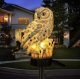 Gardlov LAMPA OGRODOWA SOLARNA - SOWA GARDLOV 23847 4