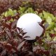 Gardlov Lampki ogrodowe - solarne kule, 6 szt. (23562) 4