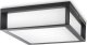 Kinkiet Philips OUTDOOR LIGHT SKIES 2X42W E27 IP44 1