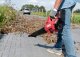 Sourcing CORDLESS LEAF BLOWER 20V BARE GB1E0330CA 14