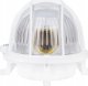 Lampa sufitowa Pawbol Oprawa kanałowa Pawbol Owal100 D.3155 100W E27 IP44 biała 5