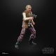 Figurka Star Wars STAR WARS Figures Black Series, 15cm 44
