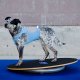 FitPAWS FitPAWS Uchwyt stabilizujący, 63 cm, szary 4