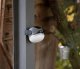 Brennenstuhl MOBILE LED RECHARG OUTDOOR L.OLI 310AB 20