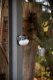 Brennenstuhl MOBILE LED RECHARG OUTDOOR L.OLI 310AB 5