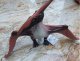 Figurka REX Pteranodon wielki E-396 97382 1