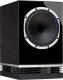 Kolumna Fyne Audio FYNE AUDIO F 500 BLACK HG Kolumna głośnikowa, naturalny fornir (2 szt) 2