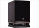 Kolumna Fyne Audio FYNE AUDIO F 500 BLACK HG Kolumna głośnikowa, naturalny fornir (2 szt) 7