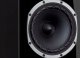 Kolumna Fyne Audio FYNE AUDIO F501 BLACK HG Kolumna głośnikowa, naturalny fornir 10