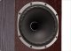 Kolumna Fyne Audio FYNE AUDIO F502 HG WHITE Kolumna głośnikowa, naturalny fornir 7