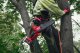 Piła łańcuchowa Milwaukee MILWAUKEE.CHAINSAW M18FHS20-0 12