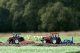 Tomy TOMY Britains traktor Valtra Valmet 8950 43342 6