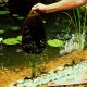 Ubbink Torf do oczka wodnego Aquavital, 10 L Lumarko! 4