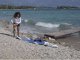 Wattsup Deska SUP WattSUP SAR Combo 10.0 (305x81x15cm) 10'0'' 5