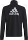 Adidas Dres adidas Big Logo TS girls Jr IB8905 2