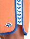 Arena Męskie Spodenki M ICONS TEAM STRIPE BOXER 2