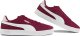 Puma Buty Puma Club Nylon bordowe 384822 07 37 1