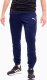 Puma Spodnie męskie Puma teamRISE Poly Training Pants granatowe 657390 06 2XL 2