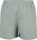 Arena Męskie Szorty FUNDAMENTALS ARENA LOGO BOXER R 9