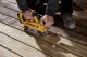 Szlifierka Dewalt BELT SANDER CORDLES DCW220N-XJ 18V 6