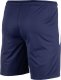 Puma Spodenki męskie Puma teamLIGA granatowe 704924 06 S 2