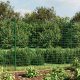 vidaXL vidaXL Ogrodzenie z siatki, z kotwami, zielone, 1,4x10 m 1