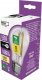 Emos Żarówka LED Emos Filament ZF5157 5W E27 A60 2700K transparentna ciepła 3
