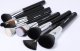 Eigshow Beauty Eigshow Beauty Master Series PRO knows 26 sztuk pędzli Bright Silver 13