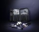 Eigshow Beauty Eigshow Beauty Master Series PRO knows 26 sztuk pędzli Bright Silver 1