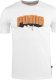 Puma Koszulka męska Puma Graphics Hip Hop Tee biała 677189 02 M 1