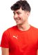 Puma Koszulka męska Puma teamGOAL 23 Casuals Tee czerwona 656578 01 S 2