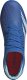 Adidas Buty adidas Predator Accuracy.3 FG GZ0026 2