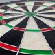 Triton DART SIZALOWY 45CM OFFICIAL CHAMPIONSHIP ENERO PRO 3