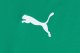 Puma Koszulka męska Puma teamGOAL 23 Jersey zielona 704171 05 L 3