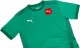 Puma Koszulka męska Puma teamGOAL 23 Jersey zielona 704171 05 L 5