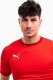 Puma Koszulka męska Puma teamGOAL 23 Jersey czerwona 704171 01 M 2