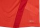 Puma Koszulka męska Puma teamGOAL 23 Jersey czerwona 704171 01 M 5