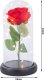 Braders Wieczna Róża LED w Szkle na Prezent Pudełko Lampki 15