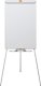 Nobo Flipchard magnetyczny Easel Essentials 6