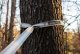 Eno Apollo Suspension System, Grey/ Charcoal 2