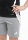 Adidas Spodenki dla dzieci adidas Tiro 24 szare IT2408 116cm 2