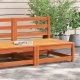 vidaXL Sofa ogrodowa bez podłokietników, woskowy brąz, 70x70x67 cm 1