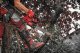 Piła łańcuchowa Milwaukee MILWAUKEE.CHAINSAW M18FTHCHS35-802 12