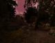 Gothic II: Gold Edition PC, wersja cyfrowa 1