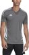 Adidas Koszulka męska adidas Condivo 22 Jersey szara HD4726 XS 4