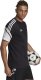 Adidas Koszulka męska adidas Condivo 22 Tee czarna H21261 L 3