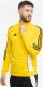 Adidas Bluza męska adidas Tiro 24 Training żółta IR9493 2XL 1