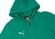 Puma Bluza męska Team Goal Casuals Hooded zielona 658595 05 S 4